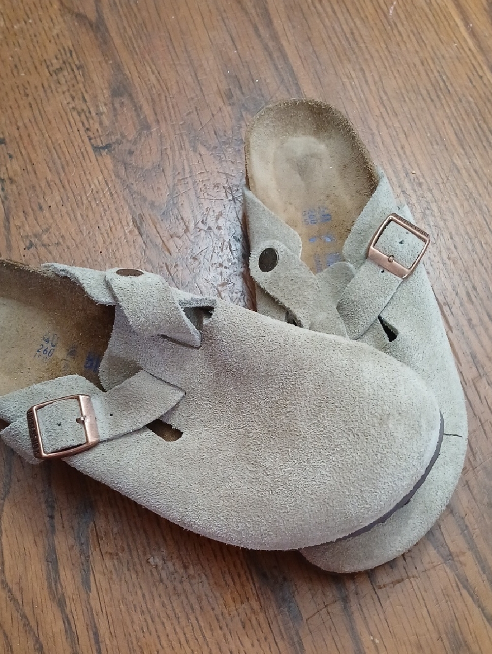 Birkenstock Suede Sandal in Light Taupe with Rose Gold Buckle